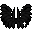 Black Wings